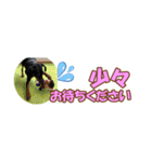 ミニピン 省スペース スタンプ4（個別スタンプ：30）