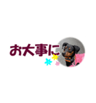 ミニピン 省スペース スタンプ4（個別スタンプ：31）