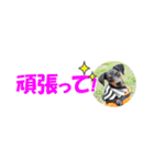 ミニピン 省スペース スタンプ4（個別スタンプ：33）