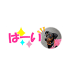 ミニピン 省スペース スタンプ4（個別スタンプ：34）