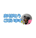 ミニピン 省スペース スタンプ4（個別スタンプ：37）