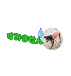 ミニピン 省スペース スタンプ4（個別スタンプ：40）