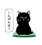 「黒猫」noboスタンプ（個別スタンプ：4）