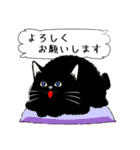 「黒猫」noboスタンプ（個別スタンプ：8）