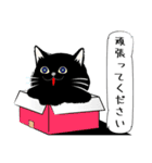 「黒猫」noboスタンプ（個別スタンプ：9）