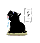 「黒猫」noboスタンプ（個別スタンプ：14）