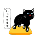 「黒猫」noboスタンプ（個別スタンプ：17）