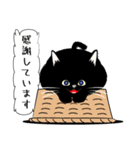 「黒猫」noboスタンプ（個別スタンプ：24）