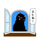 「黒猫」noboスタンプ（個別スタンプ：29）