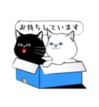 「黒猫」noboスタンプ（個別スタンプ：31）