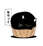 「黒猫」noboスタンプ（個別スタンプ：33）