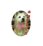 名犬Bisk.（個別スタンプ：7）