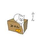 イライラさせたい猫たち（個別スタンプ：34）