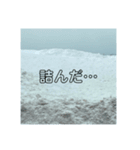 北海道の冬！雪、鹿、キツネ、カラス（個別スタンプ：9）