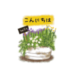 大人可愛い花と多肉植物【敬語】（個別スタンプ：15）
