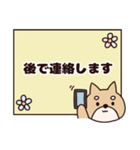 柴犬シニア体調報告スタンプ（個別スタンプ：31）