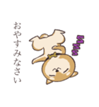 室長の犬（個別スタンプ：4）