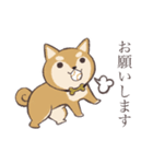 室長の犬（個別スタンプ：6）
