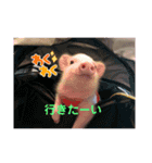 レッちゃん（個別スタンプ：4）