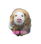 レッちゃん（個別スタンプ：5）