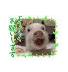 レッちゃん（個別スタンプ：10）