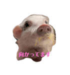 レッちゃん（個別スタンプ：14）