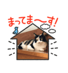 たまです！（個別スタンプ：4）