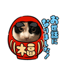 たまです！（個別スタンプ：6）