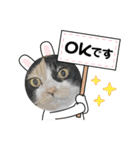 たまです！（個別スタンプ：7）