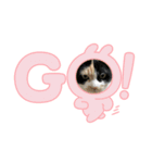 たまです！（個別スタンプ：8）