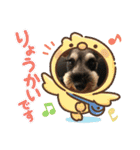 ミニチュアシュナウザーのすずめ時々ももこ（個別スタンプ：16）