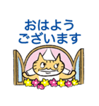 ねこおばさん（個別スタンプ：9）