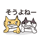 ねこおばさん（個別スタンプ：22）