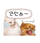 ポメラニアン＆ダックス♡（個別スタンプ：21）
