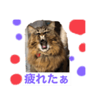 小梅さん日和（個別スタンプ：1）