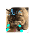 小梅さん日和（個別スタンプ：4）