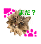 小梅さん日和（個別スタンプ：5）