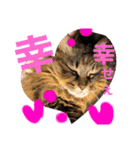 小梅さん日和（個別スタンプ：8）