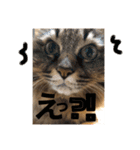 小梅さん日和（個別スタンプ：9）