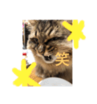 小梅さん日和（個別スタンプ：10）