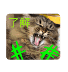 小梅さん日和（個別スタンプ：12）