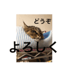 小梅さん日和（個別スタンプ：14）