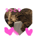 小梅さん日和（個別スタンプ：16）
