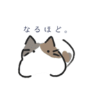 かぎっ子ねこ（個別スタンプ：15）