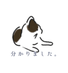 かぎっ子ねこ（個別スタンプ：17）