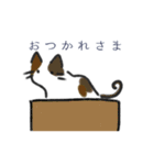 かぎっ子ねこ（個別スタンプ：18）