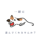 かぎっ子ねこ（個別スタンプ：28）