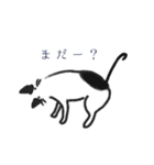 かぎっ子ねこ（個別スタンプ：34）