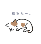 かぎっ子ねこ（個別スタンプ：35）