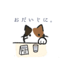 かぎっ子ねこ（個別スタンプ：39）